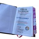 Bíblia  Filha do Rei Com Abas