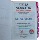 Kit Bíblia Jumbo 100% Glitter Pink com Abas adesivas e Pingente Cp dura Acolchoada + caneta + devocional